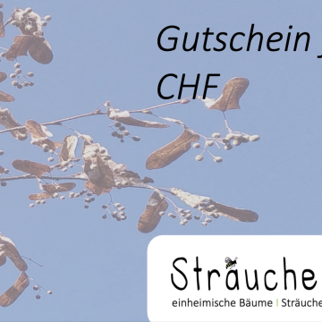 Gutscheine